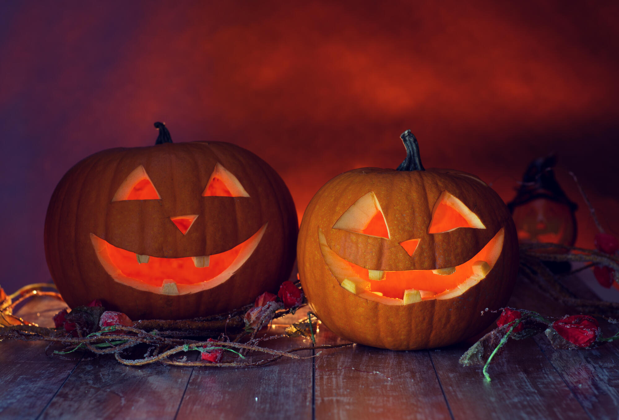 Fun Halloween Activities Seniors Can Enjoy in Port Townsend